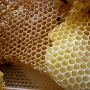 Bee wax