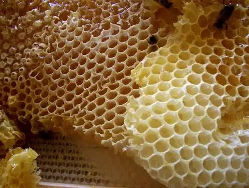 Bee wax