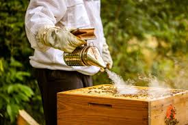 Bee smoker