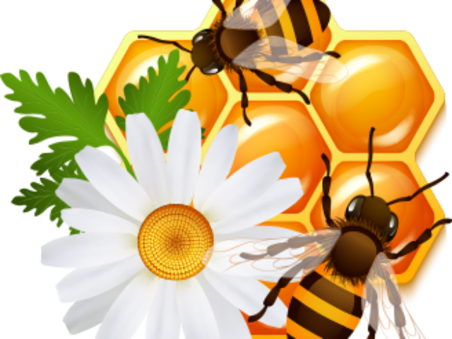 bee-1