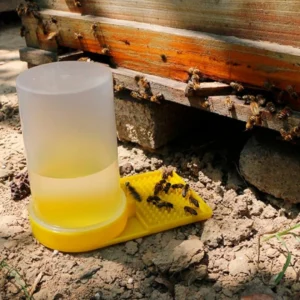 Bee Feeder