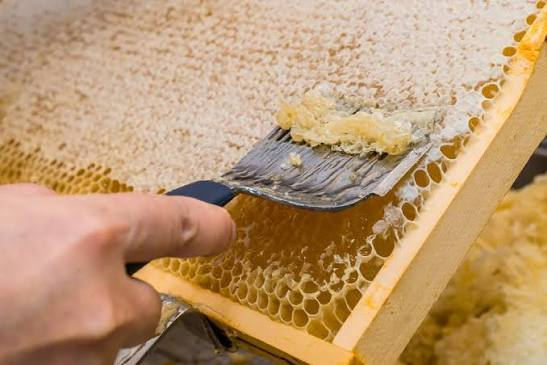 Honey Extractor